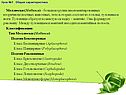 Группа несегментированных вторичнополостных животных