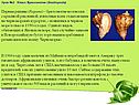 Рапаны
