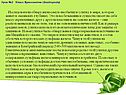 Безымянное существо
