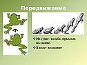 Передвижение