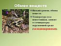 Обмен веществ