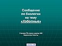 Сообщение по биологии на тему «Хоботные» Ученика 7В класса школы №5