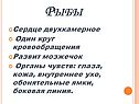 Рыбы