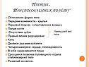 Птицы 