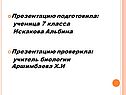 Презентацию подготовила: ученица 7 класса Искакова Альбина Презентацию