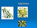 Картинки