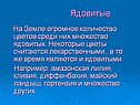 Некоторые цветы считаются лекарственными