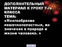 ДОПОЛНИТЕЛЬНЫЙ МАТЕРИАЛ К УРОКУ 7-го КЛАССА ТЕМА: «Многообразие