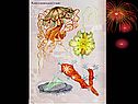 Кишечнополостные 7 класс
