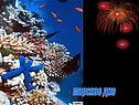 Морское дно