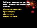 3. Кто из кишечнополостных ведет прикрепленный образ жизни: