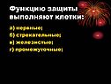 Функцию защиты выполняют клетки: