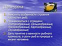 Цель урока
