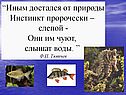 Иным достался от природы инстинкт пророчески – слепой