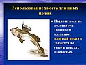 Костистые рыбы