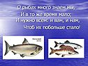 О рыбах много знаем мы, и в то же время мало