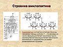 Строение амилопектина