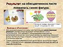 Результат: на обесцвеченном листе появилась синяя фигура