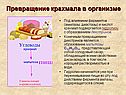 Превращение крахмала в организме