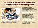 Тщательное пережевывание пищи – залог хорошего пищеварения