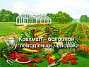 Крахмал – основной углевод пищи человека