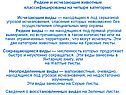 Редкие и исчезающие животные