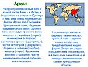 Ареал