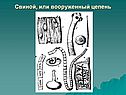 Свиной, или вооруженный цепень