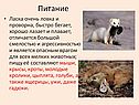 Питание