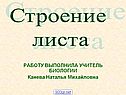 Строение листа