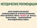 Методические рекомендации