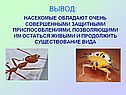 Насекомые обладают очень совершенными защитными приспособлениями