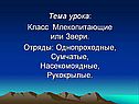 Тема урока: Класс Млекопитающие или Звери