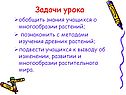 Задачи урока