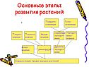 Основные этапы развития растений
