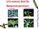 Ядовитые растения