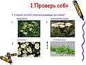 Проверь себя