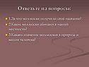 Ответьте на вопросы: