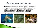 Биологические задачи