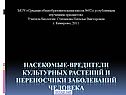 Насекомые-вредители культурных растений