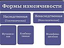 Наследственность и изменчивость организмов