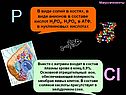 Полярность мембран живых клеток