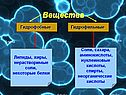 Вещества