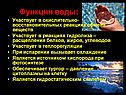 Функции воды