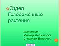 Отдел Голосеменные растения
