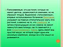 Голосеменные- это растения, которые не имеют цветков, размножаются