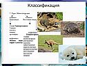 Классификация
