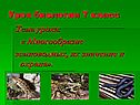 Многообразие земноводных