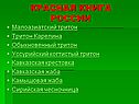 Красная книга России