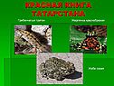 Красная книга Татарстана